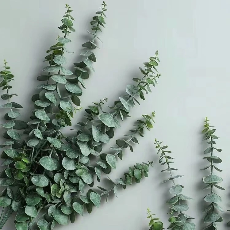 鲜花配草尤加利鲜花伴侣云南昆明基地现采现发