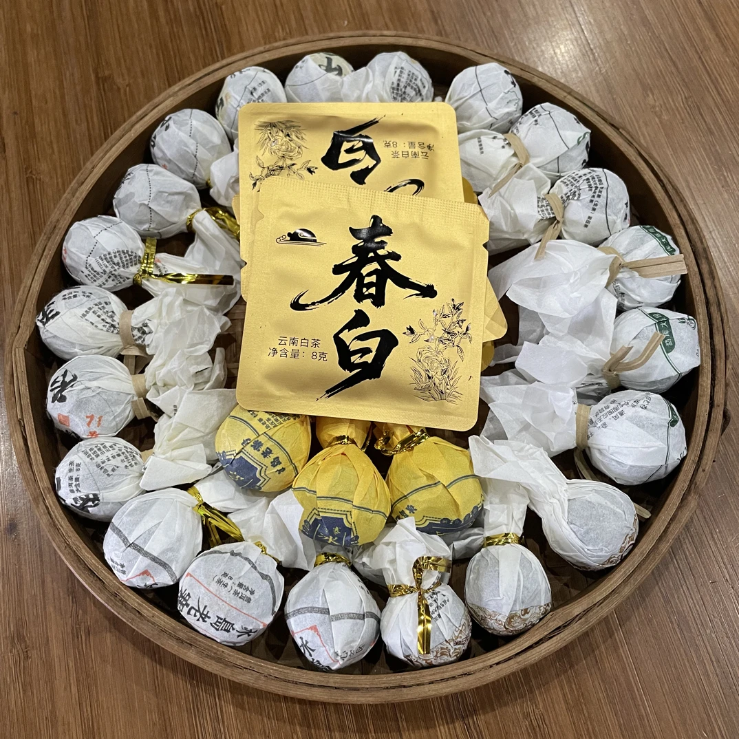 龙珠 方片组合 十款茶叶品鉴装 普洱生茶