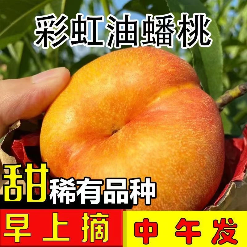 彩虹油蟠桃蒙阴黄油蟠桃轻微裂纹糖纹时令新鲜水果