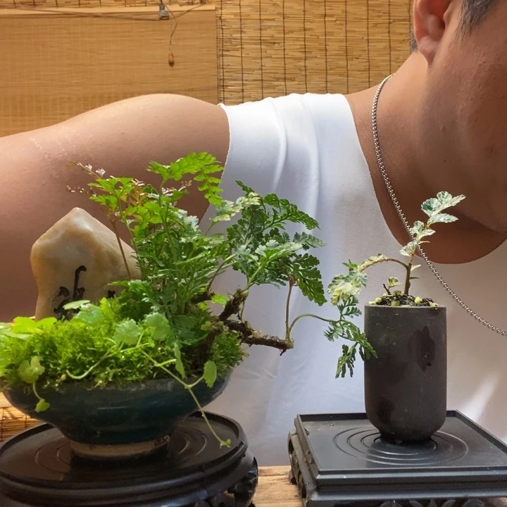 一物一拍所见即所得133