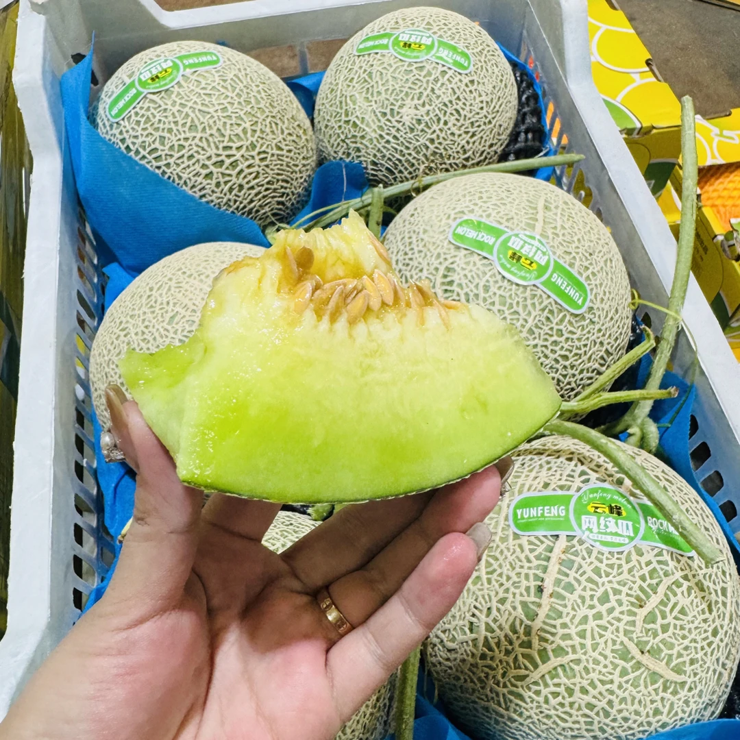 网纹梅陇瓜3个8-9斤