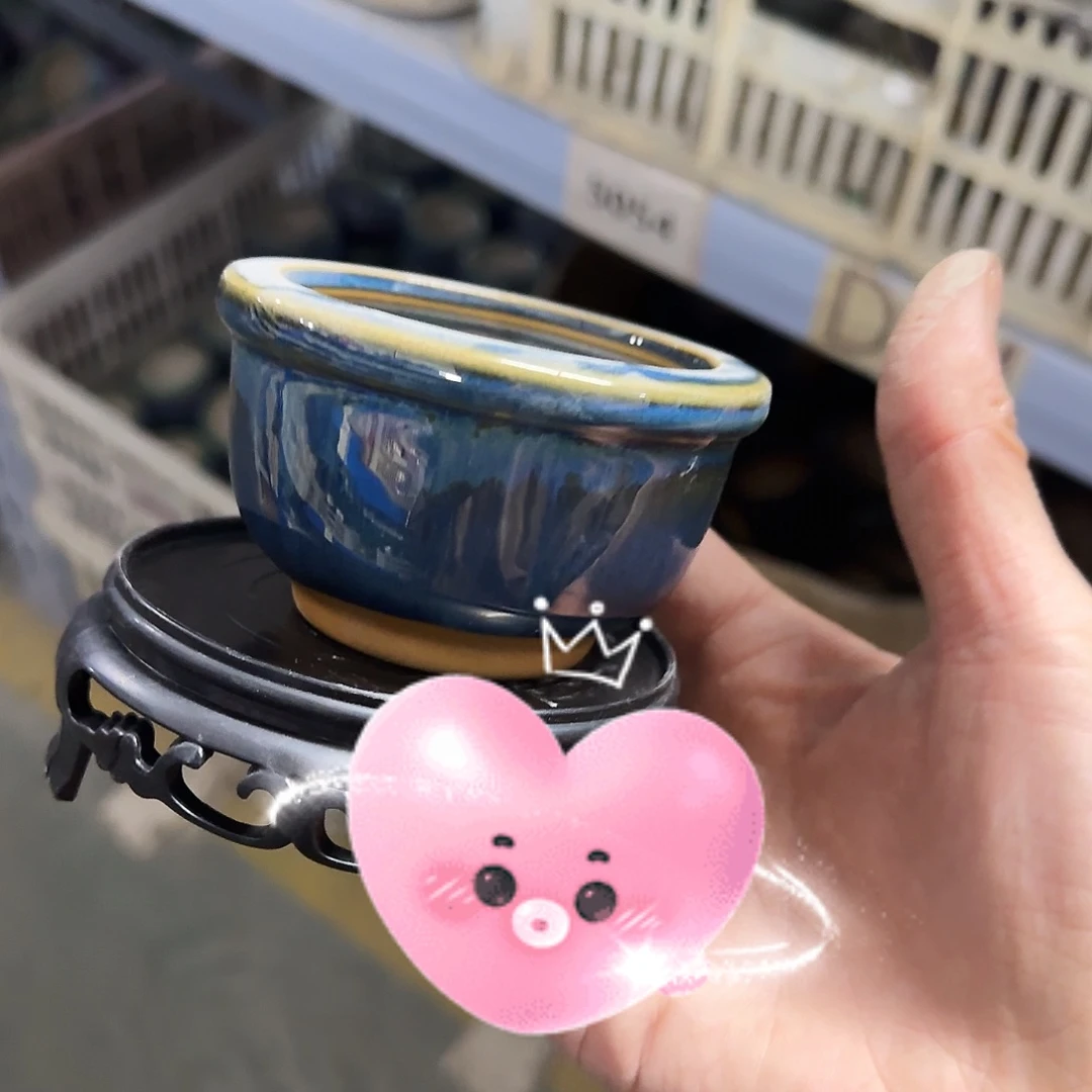 陶瓷送塑料托盘，凑9元发5054