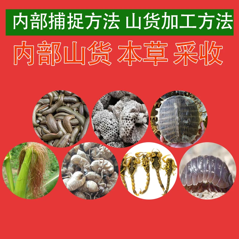 山货 采收必备 临涡内部采收工具 必备 文稿