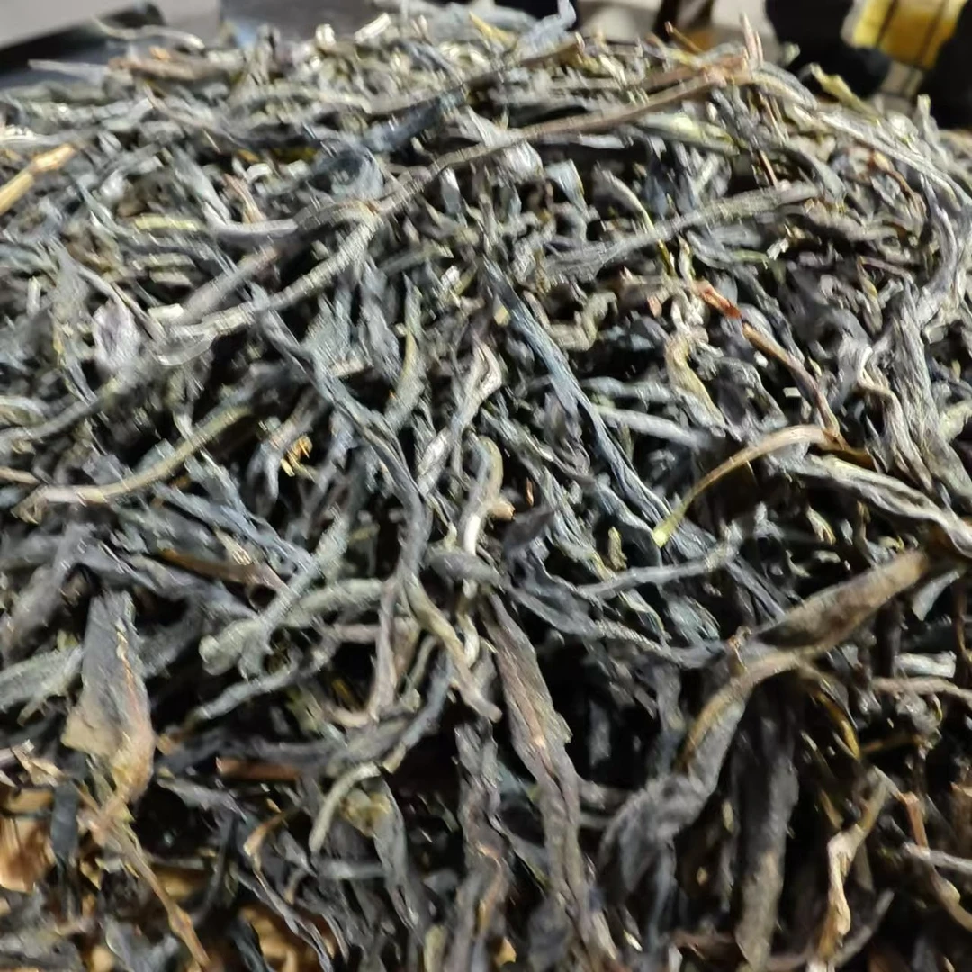 2024年   小荒田古树 春  生茶500克散茶（32号）