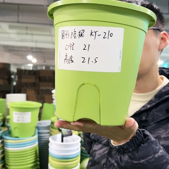 正品圆控口21高21果绿无托5只