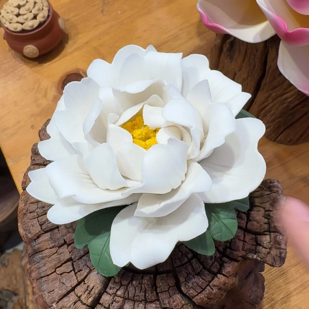 陶瓷呀呀呀呀呀呀呀呀呀呀