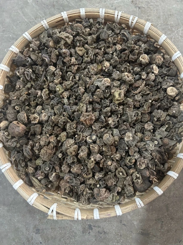 【老承山货】云南中缅边境深山悬崖龙鳞石斛