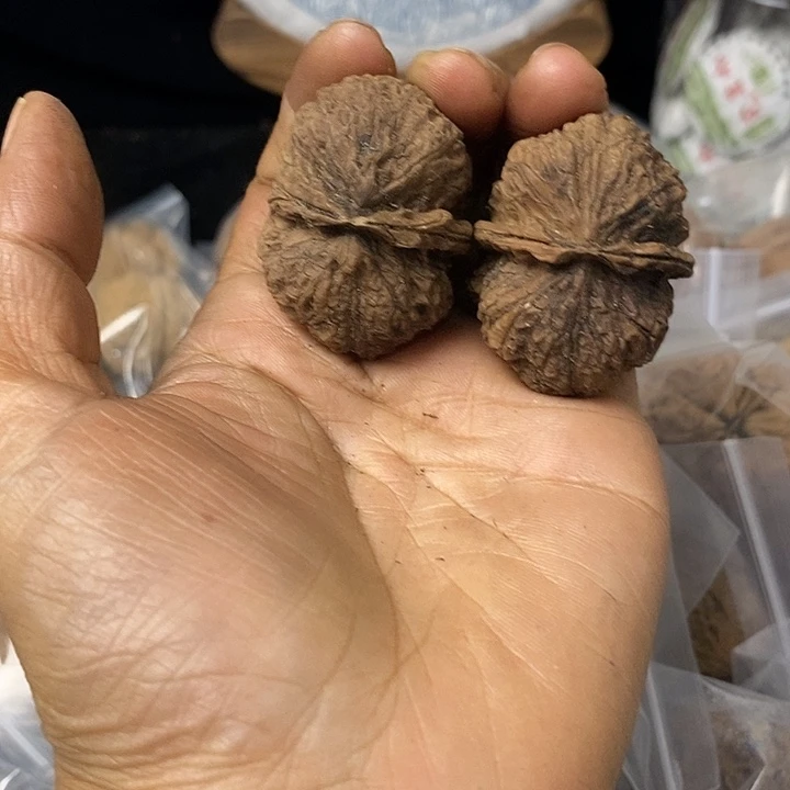核桃云南铁核桃基地97