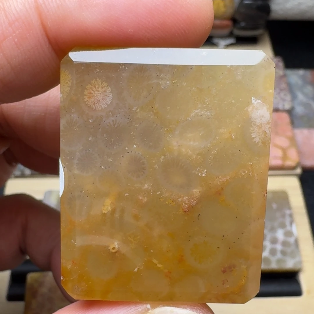 硅化玉未镶嵌纯天然色有机玉石保真色