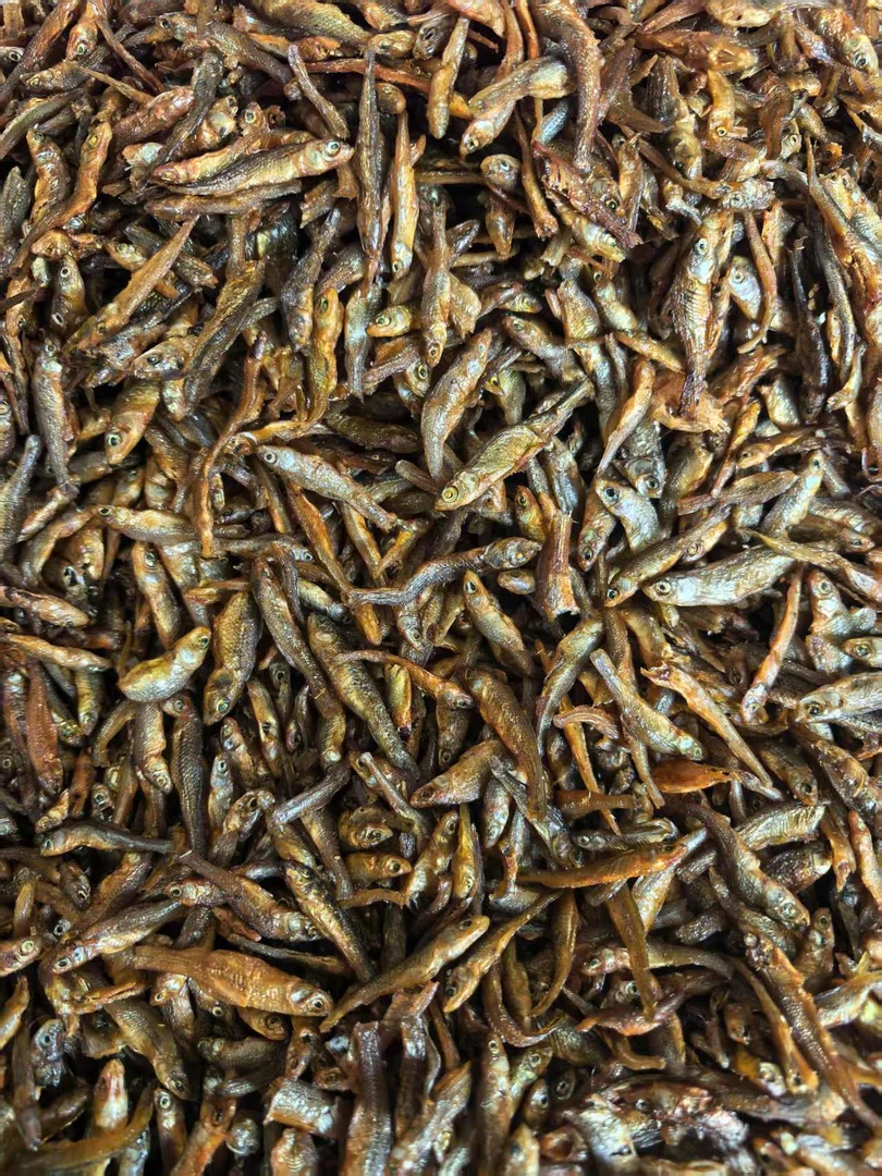 【直播助农专场3】湖南邵阳助小鱼仔