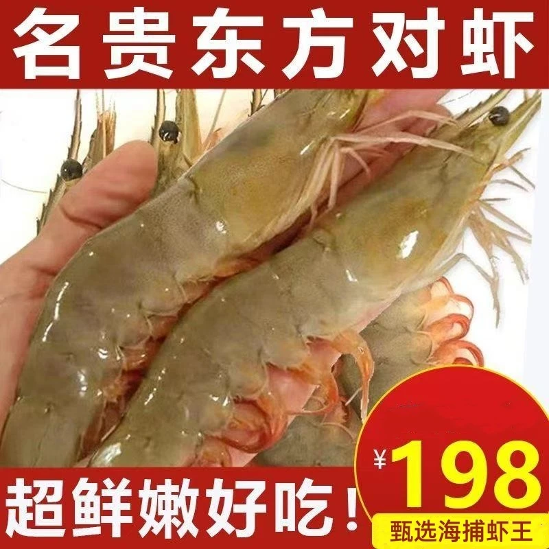 黄海捕捞大虾鲜活速冻特大海虾2斤海鲜水产对虾东方虾甄选礼品质1