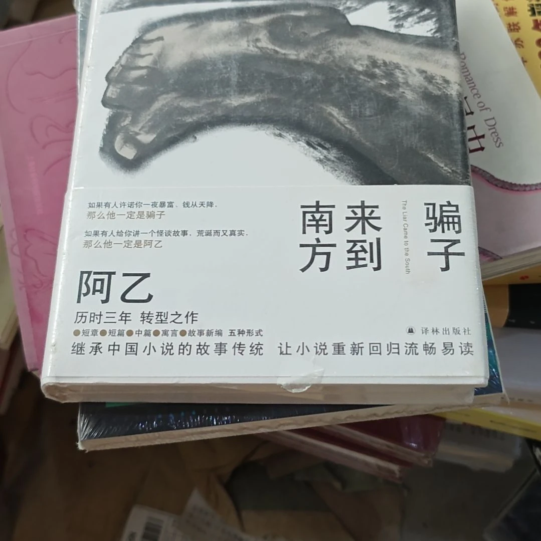 骗子来到南方阿乙精装塑封