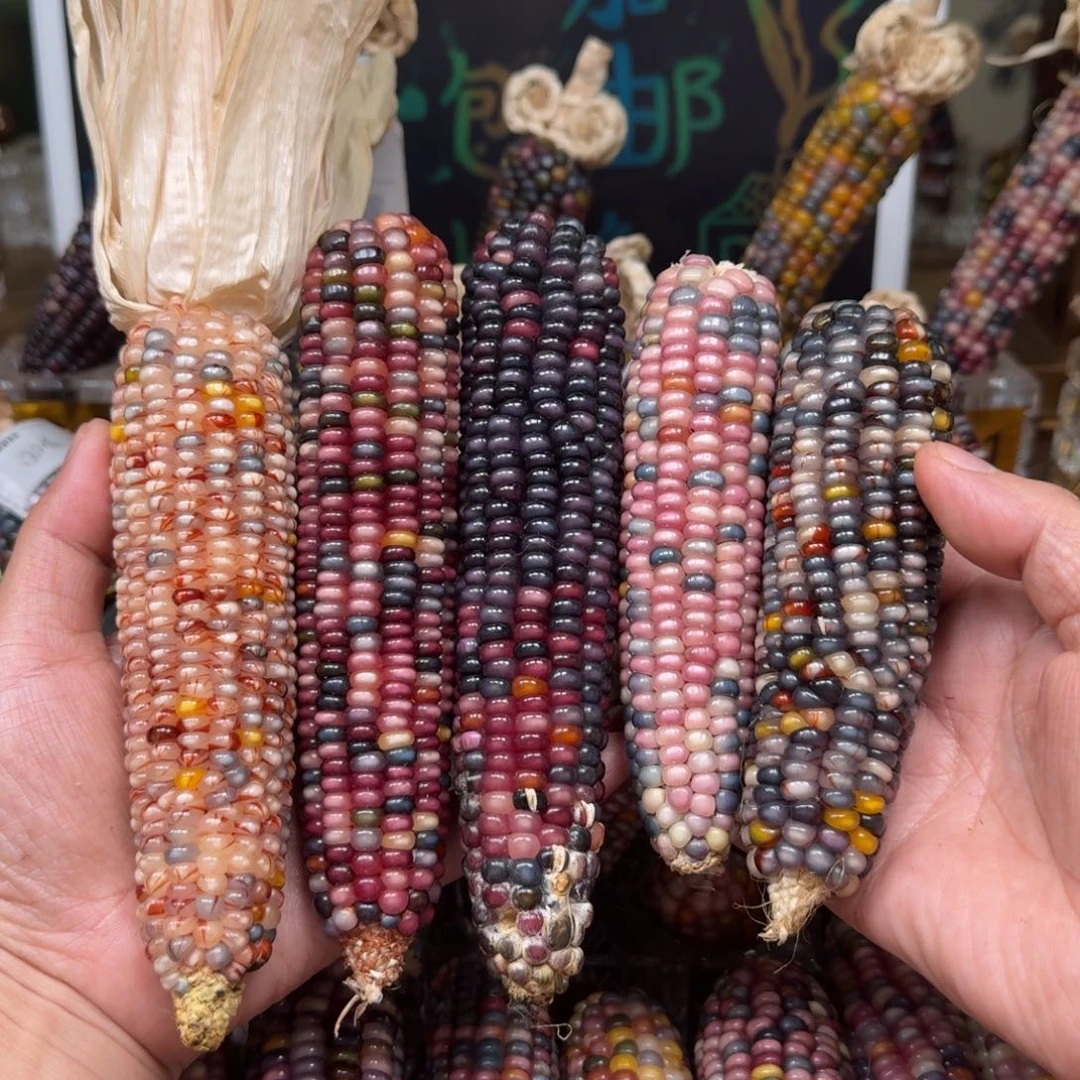 柏香籽/百香籽吊坠杜*猫