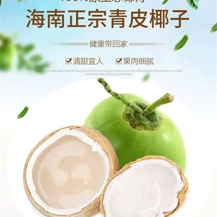 【保底400ML椰子水】海南文昌清甜带皮青椰子孕妇甘甜鲜甜发货青椰