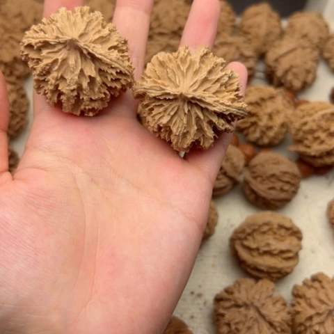 桃核吊坠秦岭山脉⛰️？秦岭7