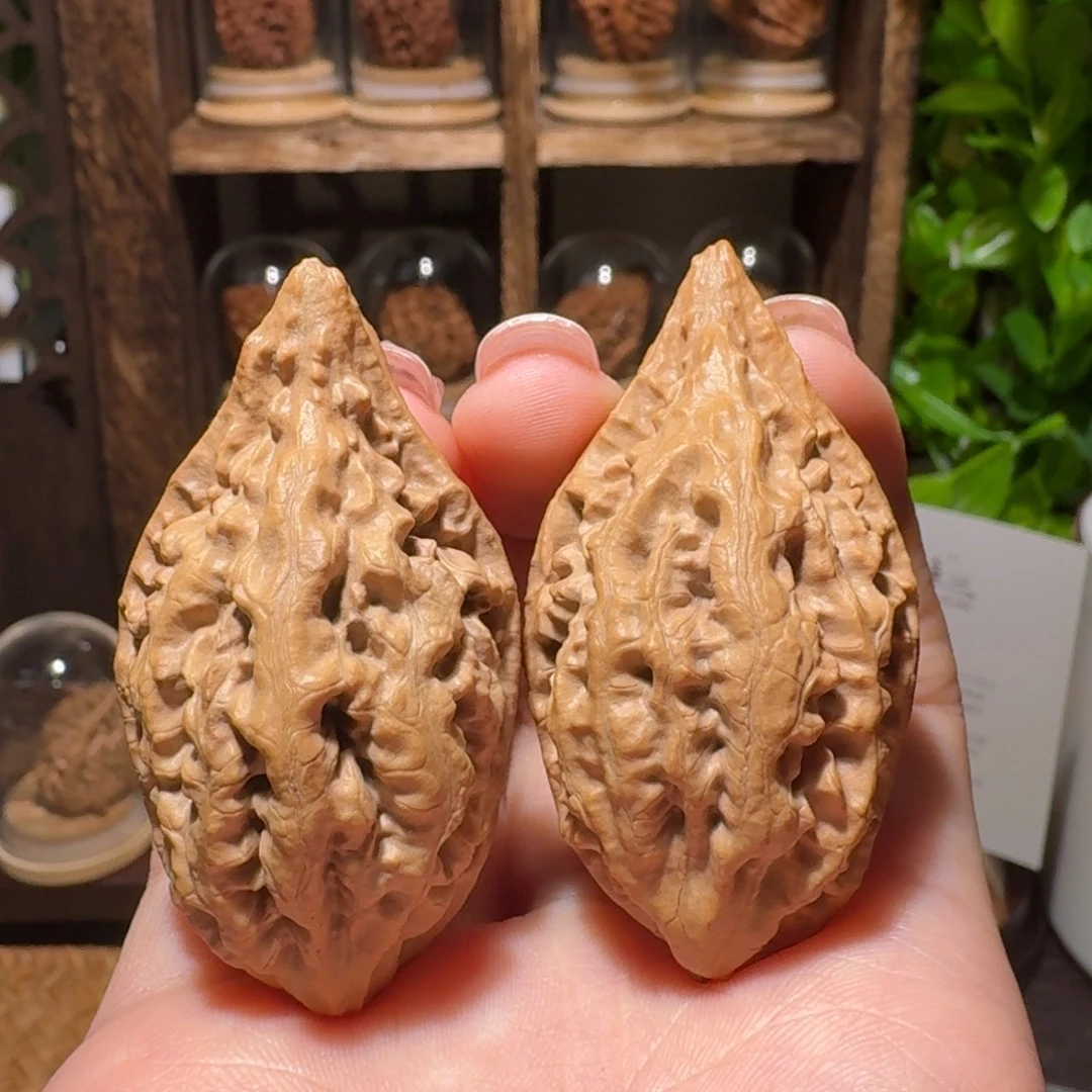 文玩核桃把件鸭嘴兽