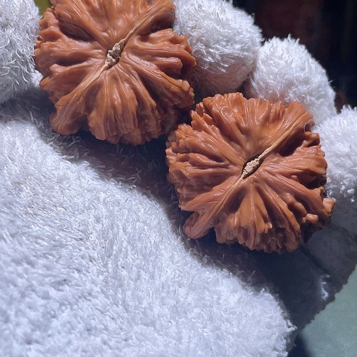 L***S40.8大红皮三角白核桃
