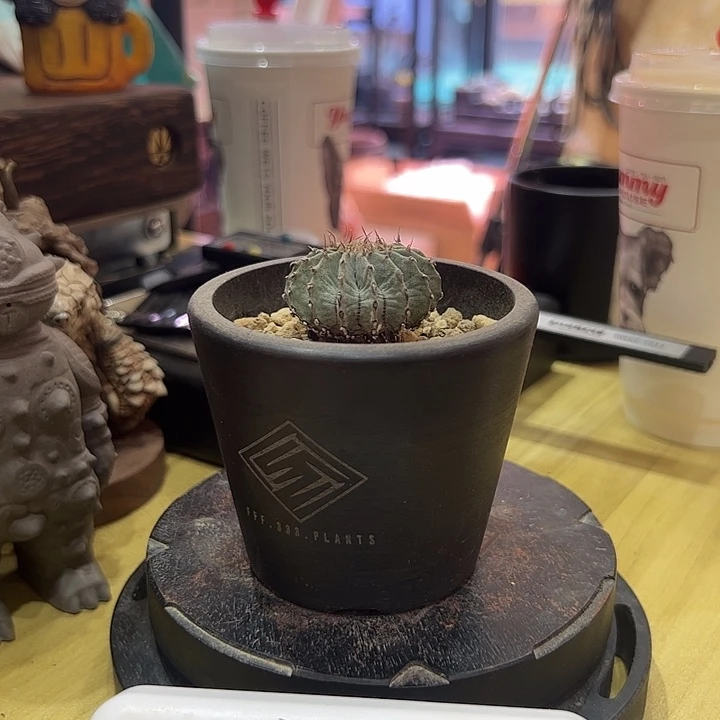 c****峰娇娇娇娇娇娇娇娇家