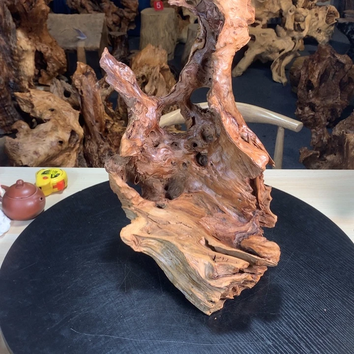 小***子888888888888888888