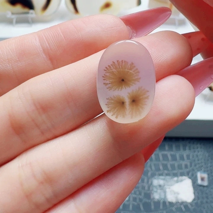 玛瑙/玉髓未镶嵌珠宝奇石