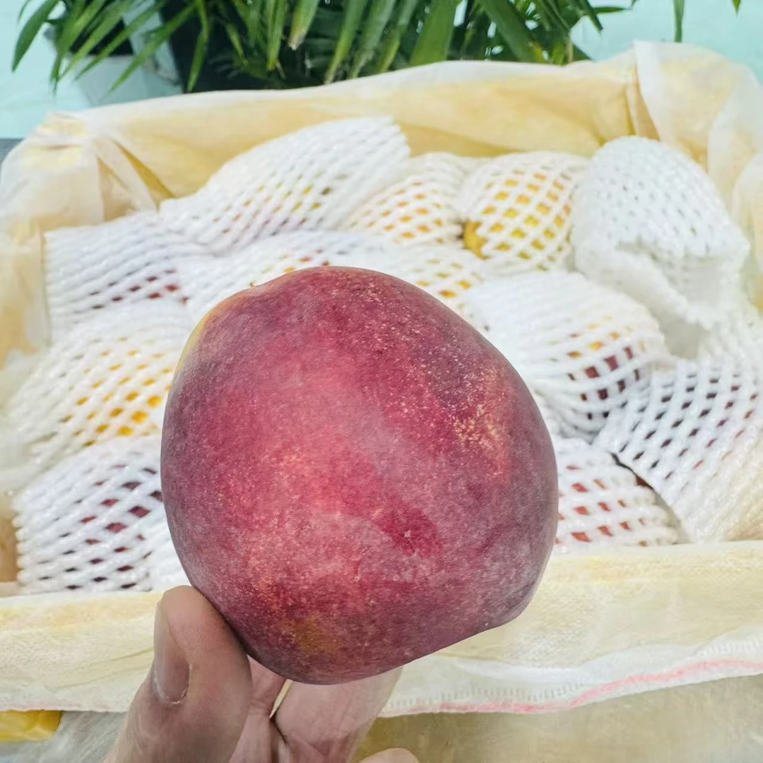 【一框】新疆黄油桃软桃  一框15颗5.5斤左右 只限山西省内可拍