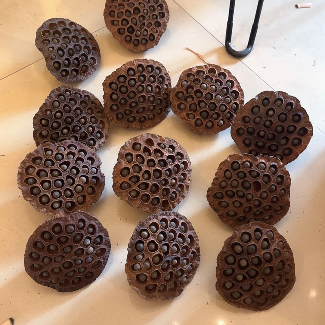 大的干的一个小破损正常