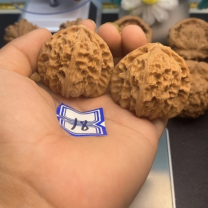 灵***士把件文玩核桃41白狮子（水尖）