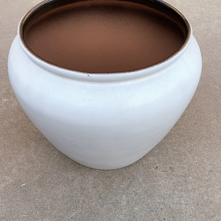 红陶31/31cbhbfdcfdf