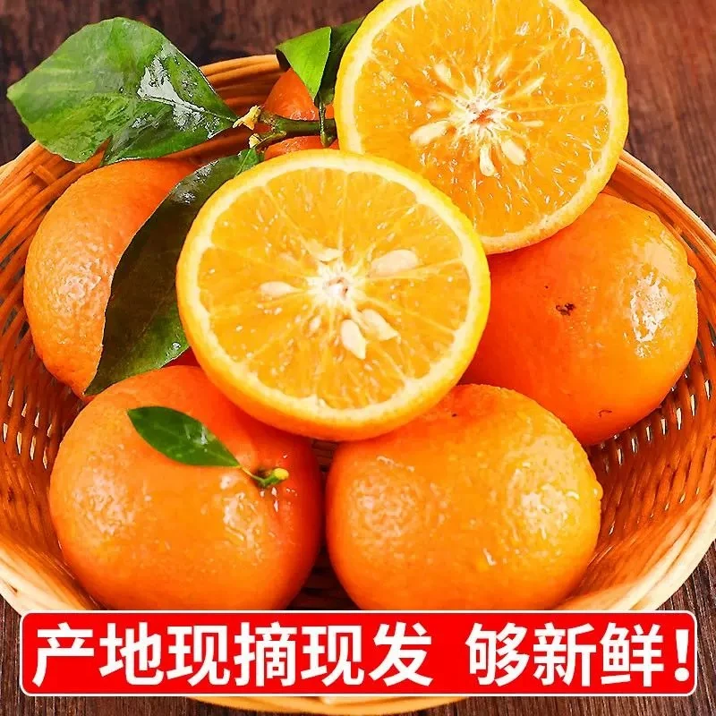 A【武鸣沃柑】广西正宗沃柑橙子香甜多汁5斤60-70mm带箱5斤现摘现发