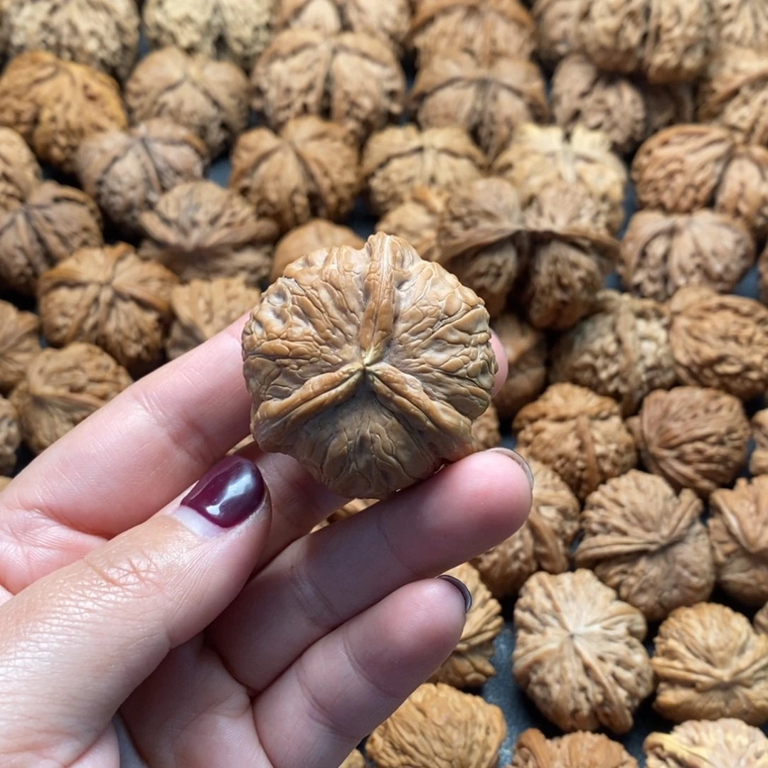 文玩核桃把件41元宝三棱有黄