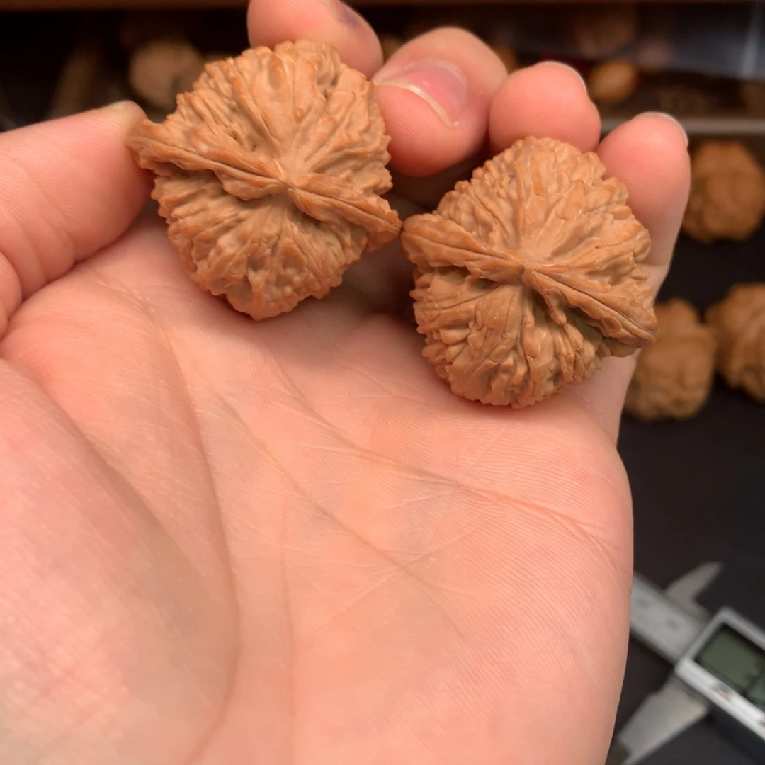 吊坠文玩核桃37+白狮子