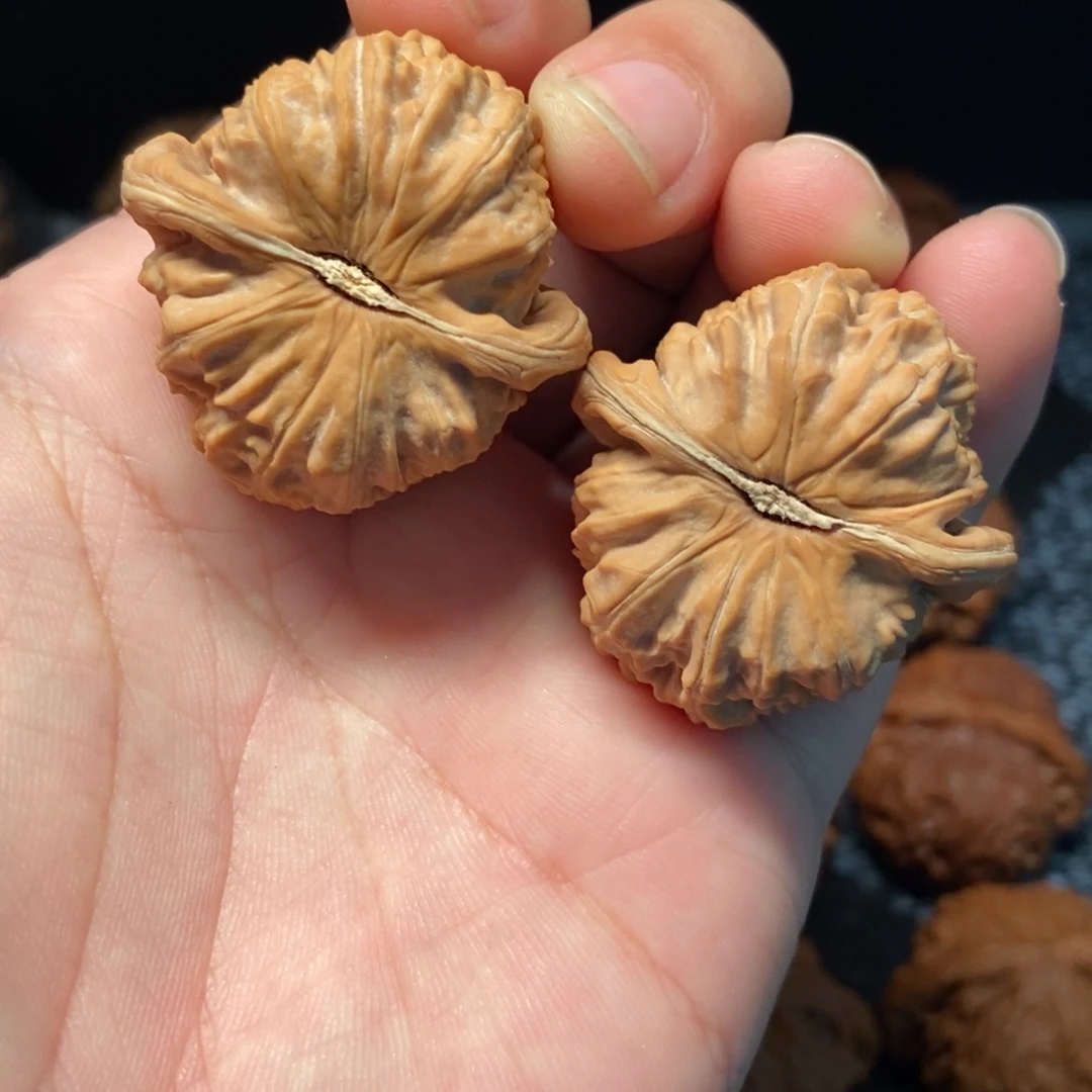文玩核桃把件文玩核桃白狮子37全品