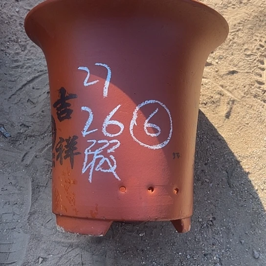 紫砂工艺厂……紫砂工艺厂……