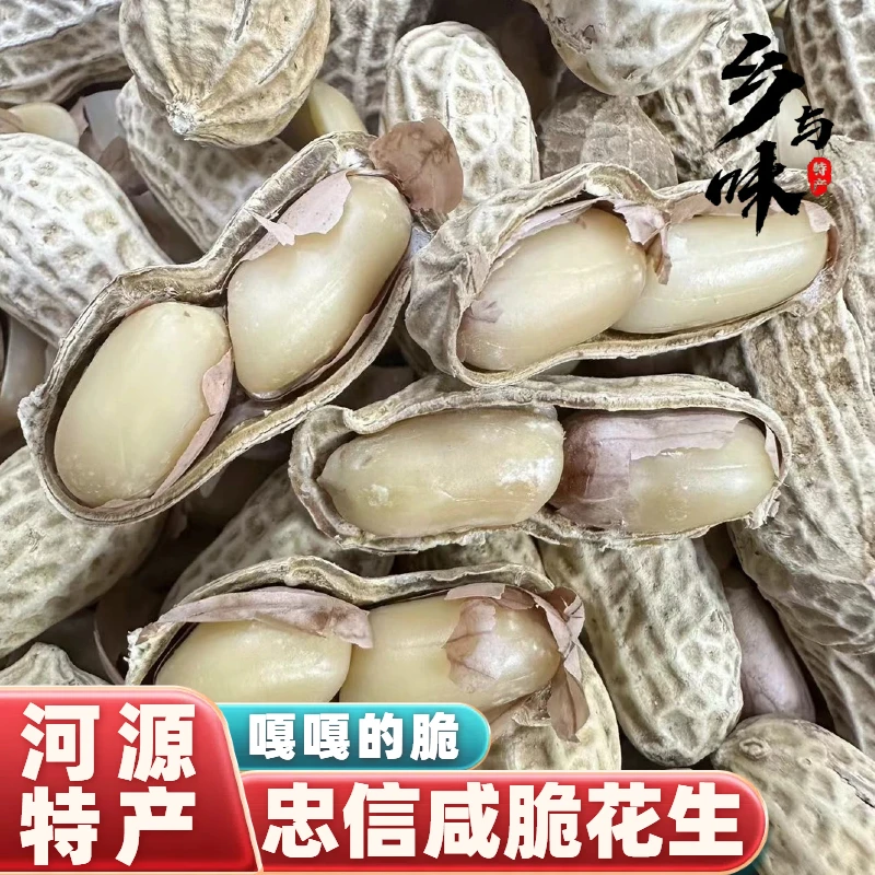 忠信咸脆花生新货客家河源特产咸松花生咸香酥脆原味带壳坚果零食