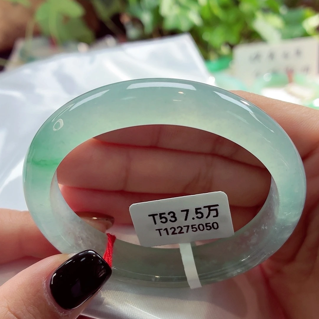 翡翠未镶嵌手镯（贵妃镯）冰晴绿点翠68-53贵24