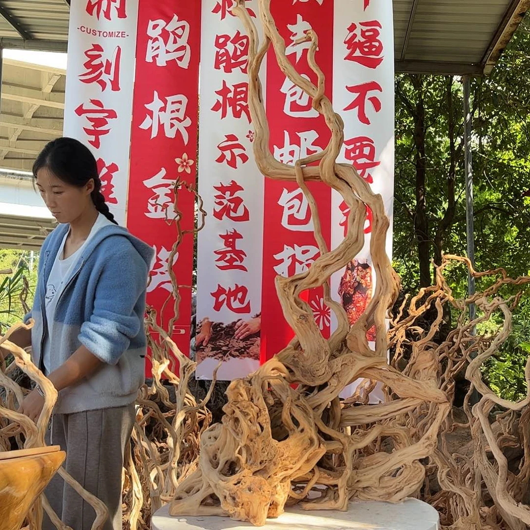 *****木我们的生活方式是什么