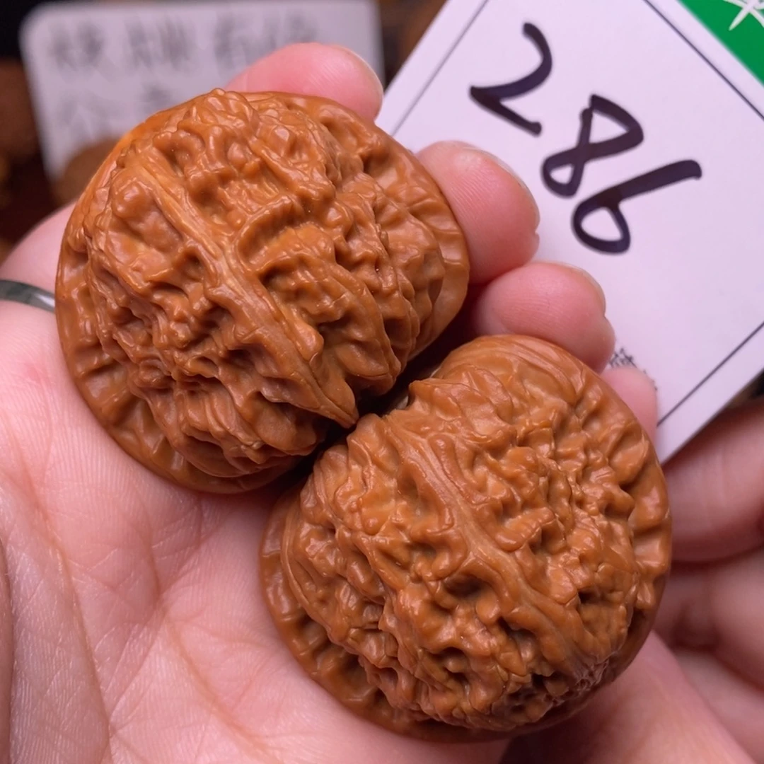 把件文玩核桃286白狮子4.0