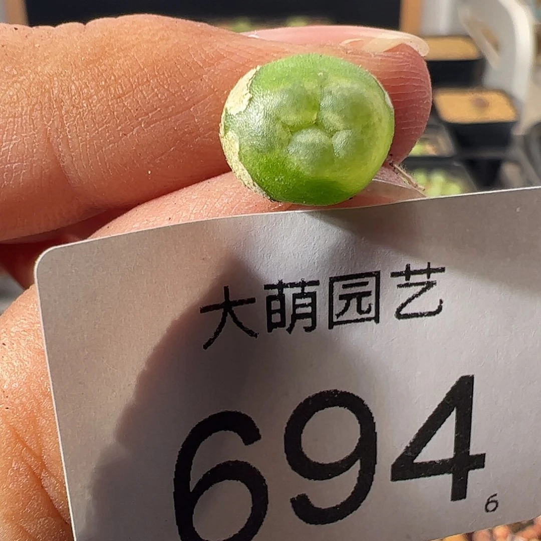 一物一拍。        694