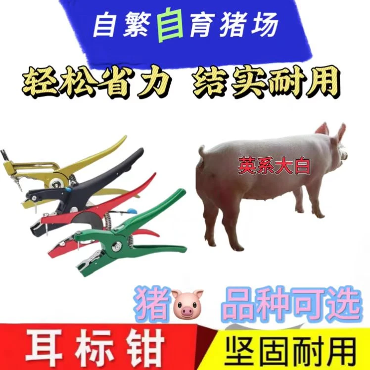 大白养殖耳标钳生态养殖猪用耗材