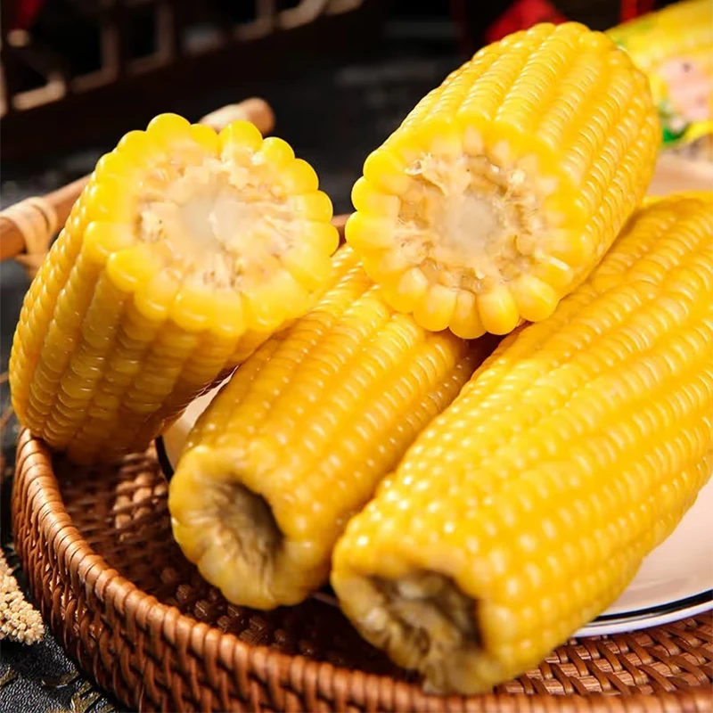 【坏果包赔】博斯糯9号黄糯玉米220g*10根