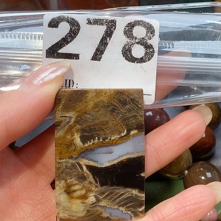 硅化玉未镶嵌天然北票树化玉吊坠