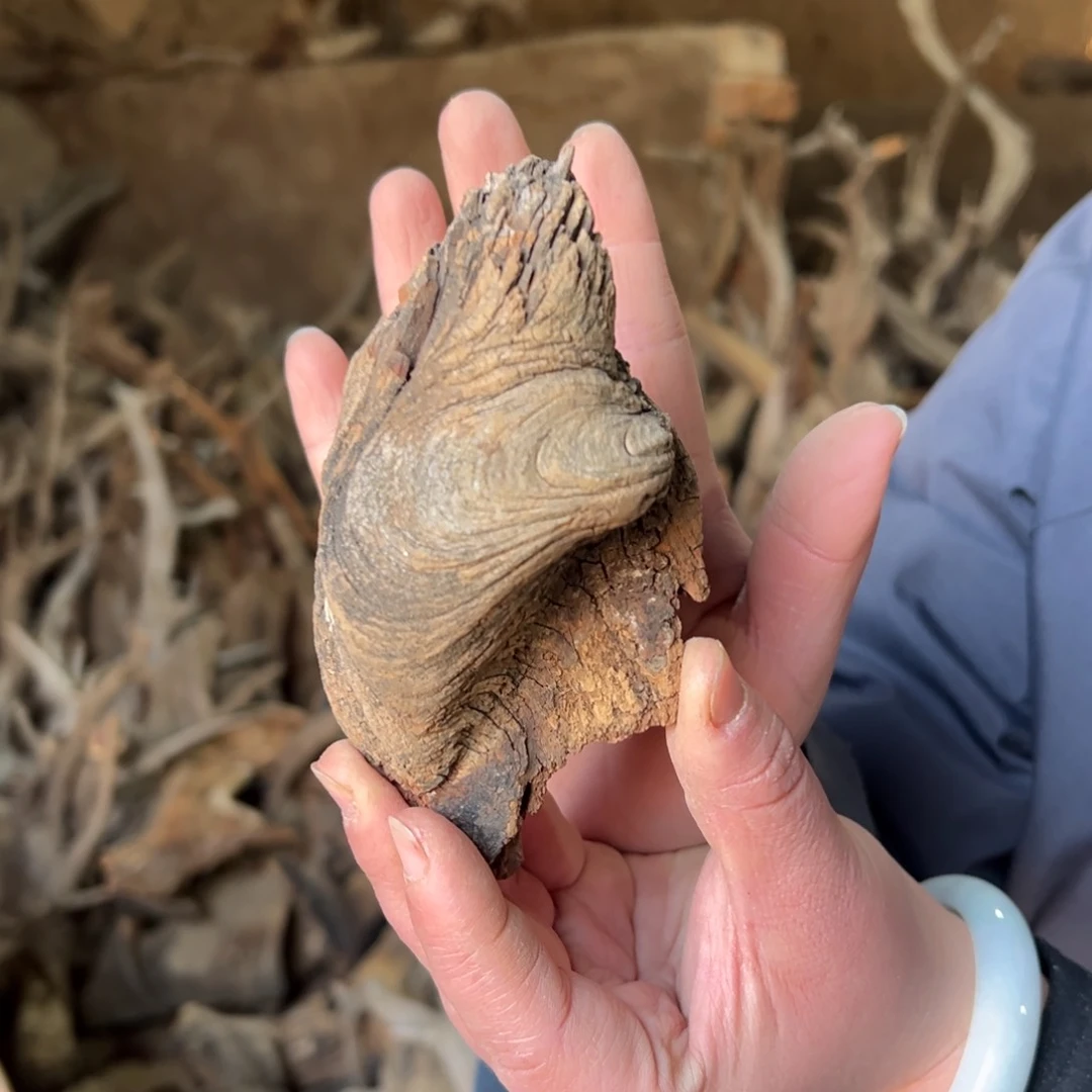 柏木（崖柏）京*6文玩崖柏