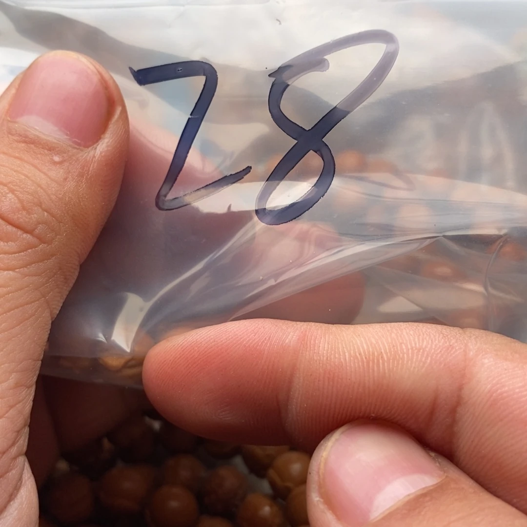 橄榄核手串我们的