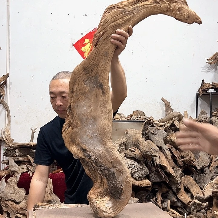 柏木四***༨我们的生活也是如此吧