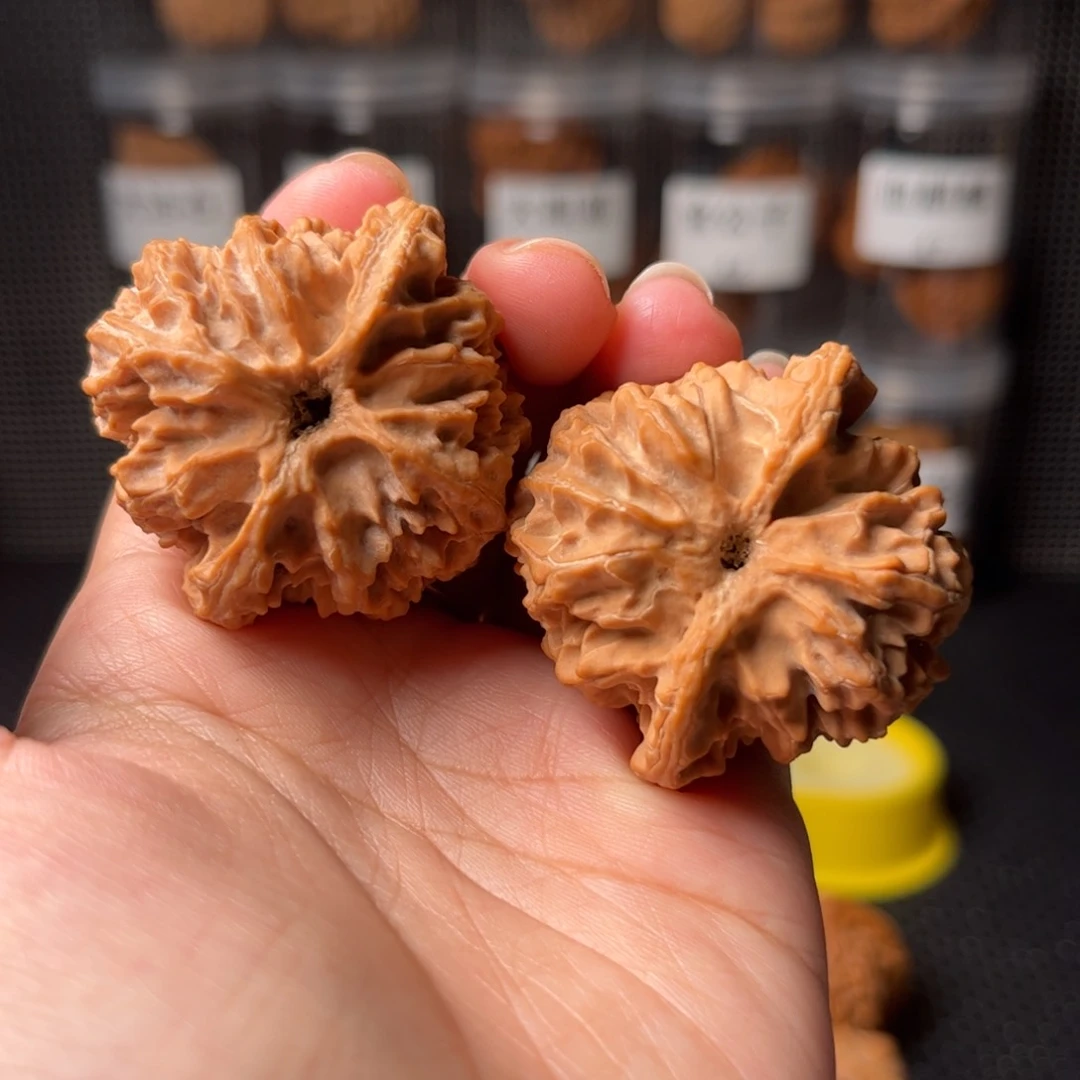 云**绽42苹果42苹果42苹果42苹果