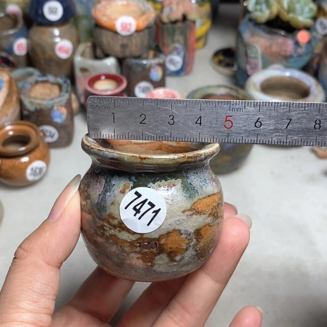 拍5送一个小礼物