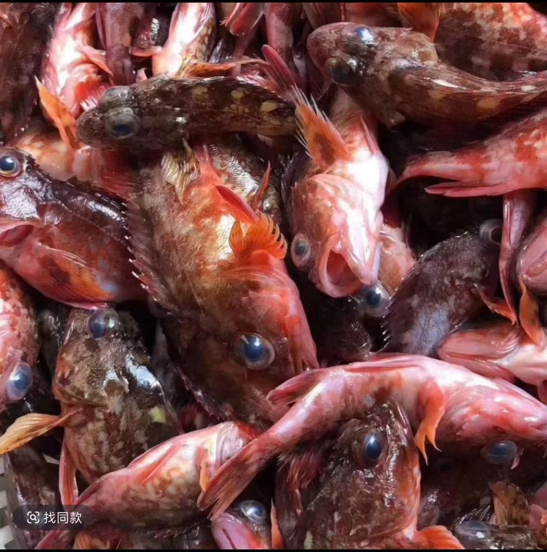 大|小石九公 顺丰京东发货