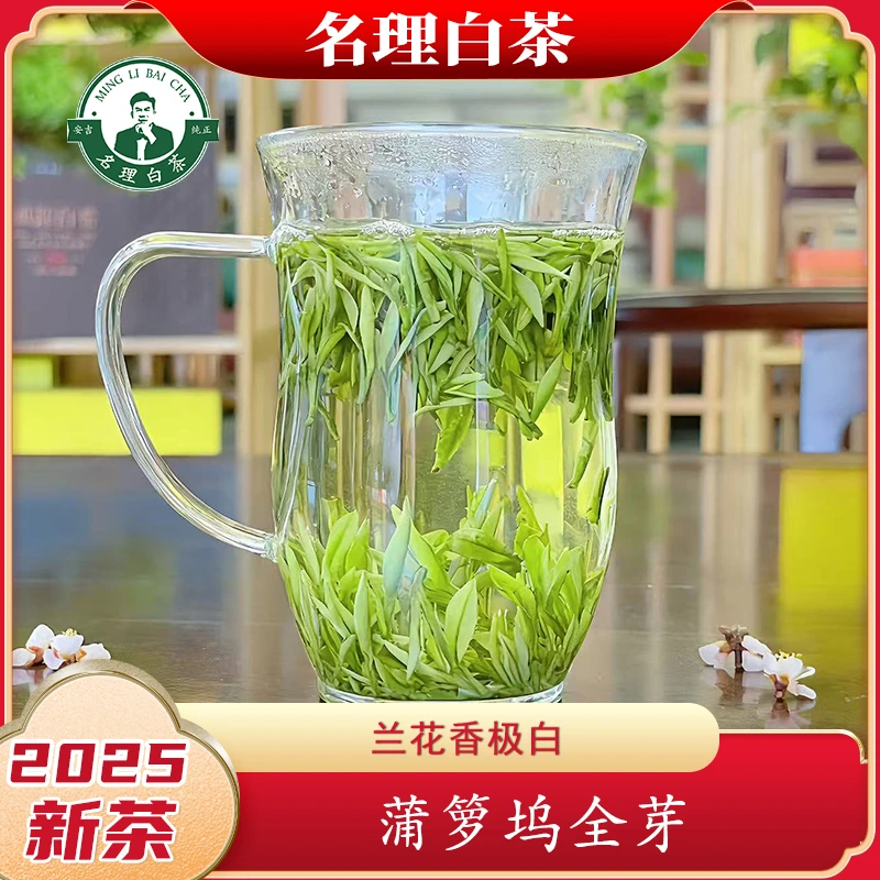 名理白【X638蒲箩坞极白】白茶助农2025新茶安吉原产地绿茶茶叶