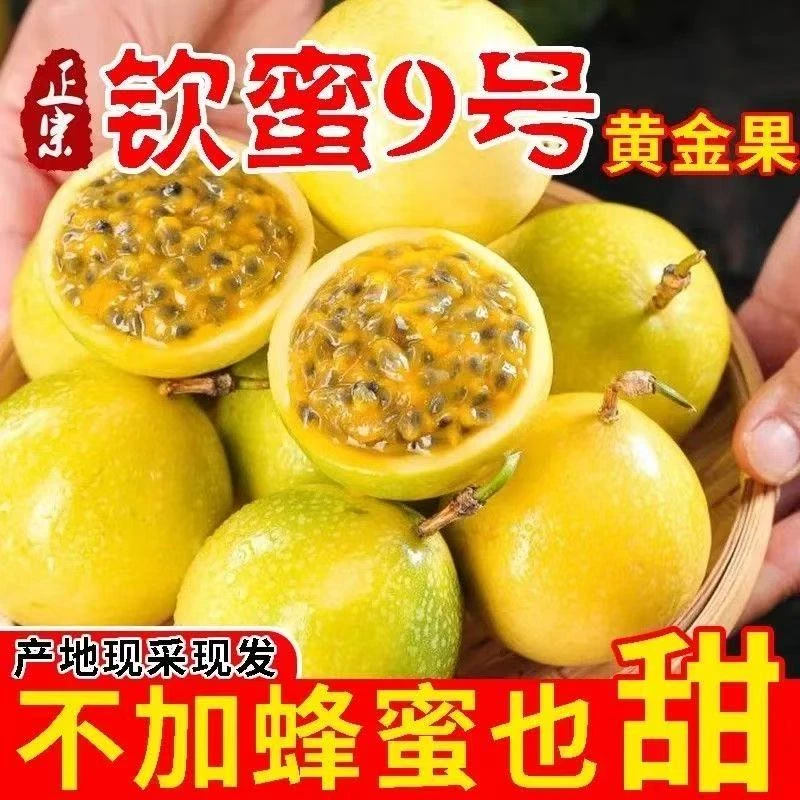广西钦蜜9号百香果新鲜当季水果香甜饱满多汁