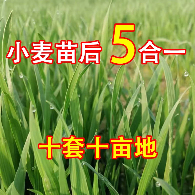 【五合一】小麦苗后技术包小麦苗后专用叶面肥